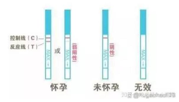 怎样确定自己没怀孕
