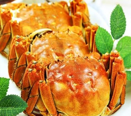 crab什么意思