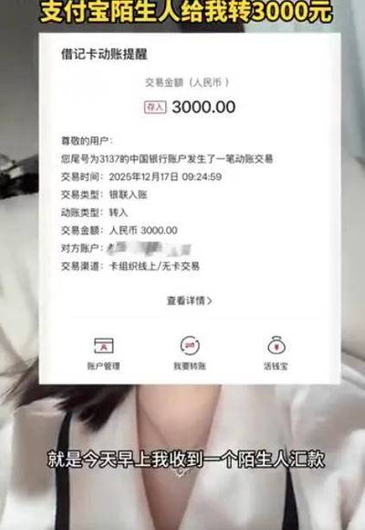 支付宝转账记录多久截图