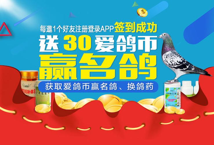 查鸽网app官方下载安装