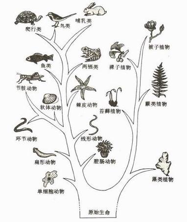 OneZoom生物树中文图标
