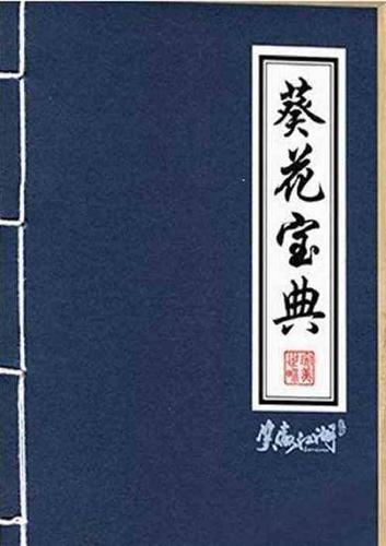 单机游戏带葵花宝典的