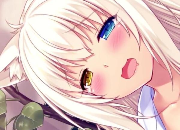 nekopara怎么下载