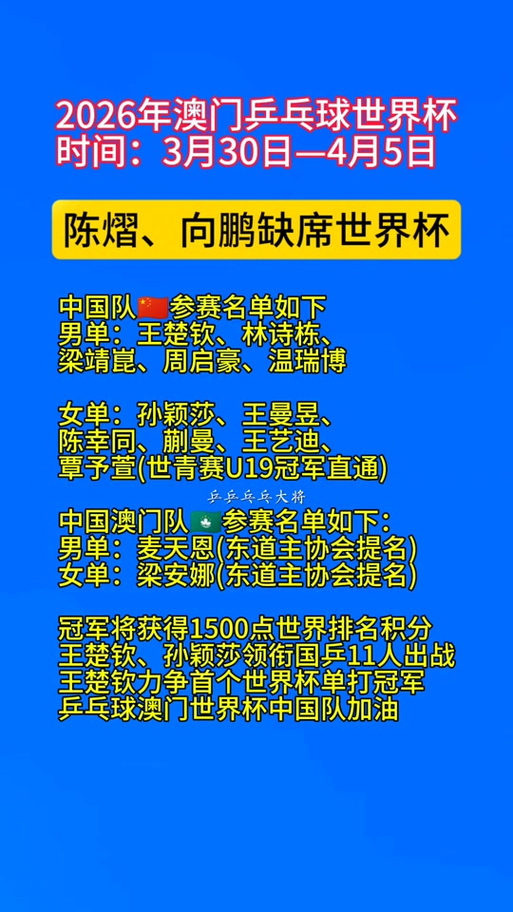 比赛赛程图