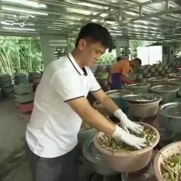 大花盆还有人回收吗