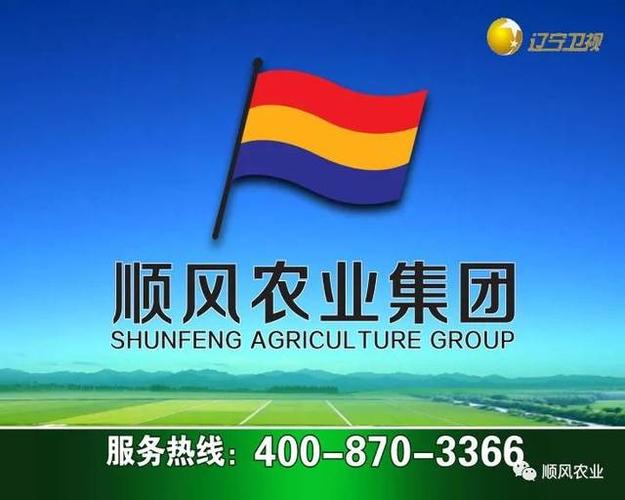 高端玩家顺风局