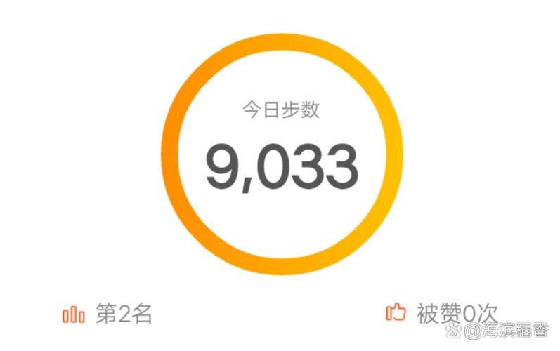 iphone不显示步数图标