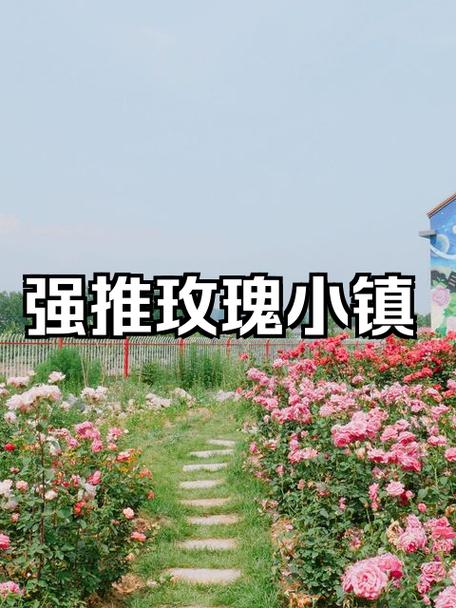 玫瑰小镇怎么赚钱