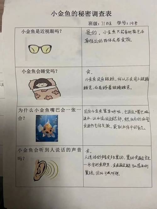 调查法的步骤