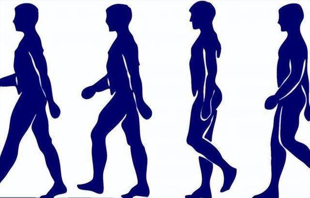 走路计步软件哪个好截图