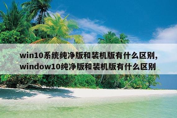 纯净版和装机版哪个好