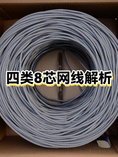 网线黑色接头是什么线