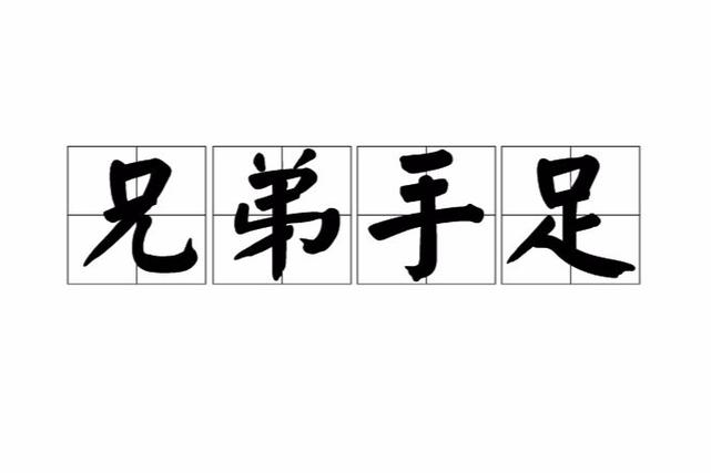 比喻兄弟的词有哪些