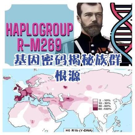 2023皇室战争账号迁移说明缩略图