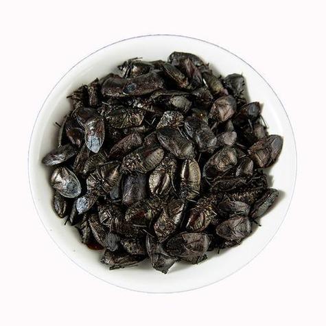 九香虫是癌细胞最喜欢吃的吗