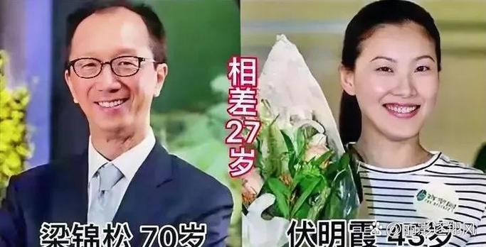夫妻档是指什么?