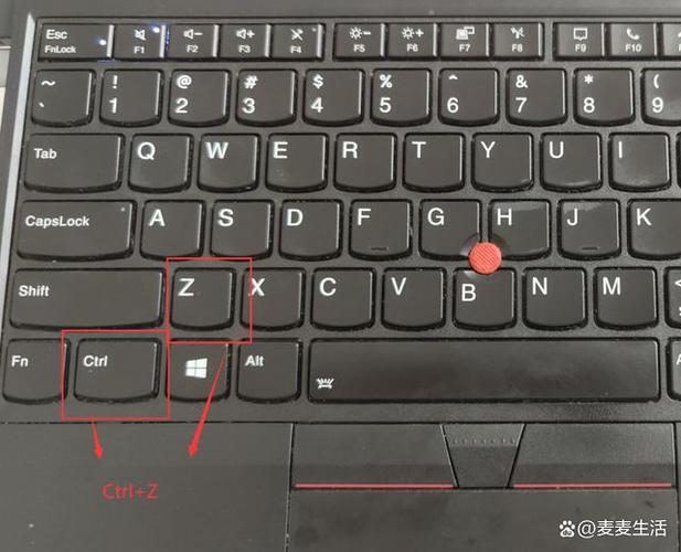 键盘怎么撤销上一步