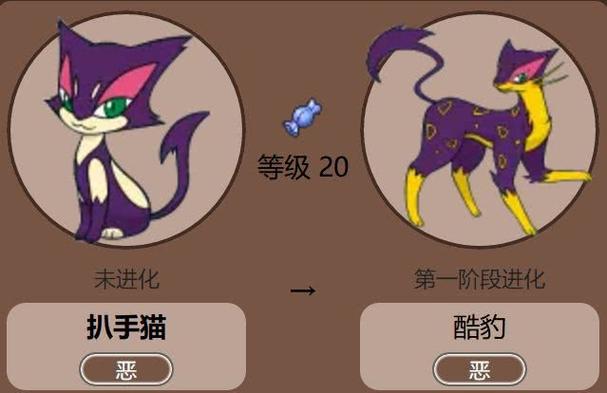 扒手猫进化
