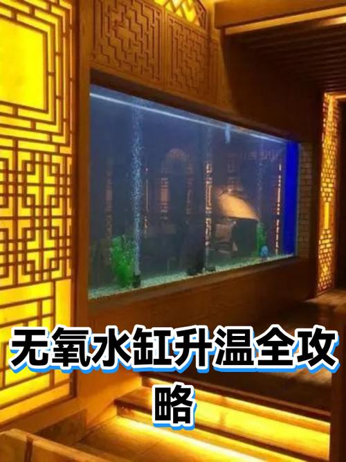 哪些鱼缸不需要增氧