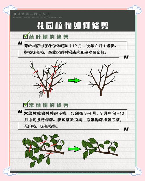 zippo棉芯黑了剪掉吗