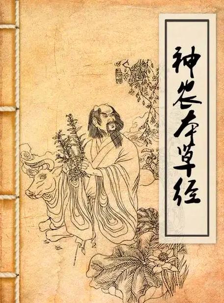 神农的百草医书
