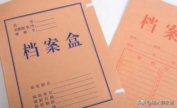 档案八大类包括什么