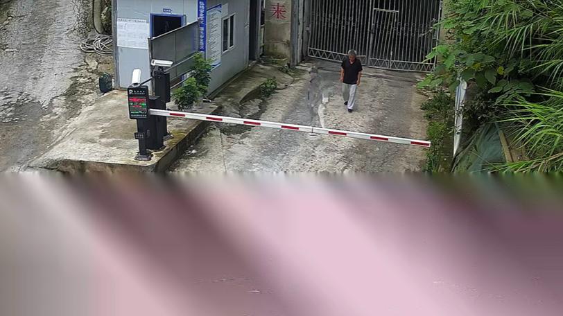 监控电源不拔监控头遮上还能看到了吗