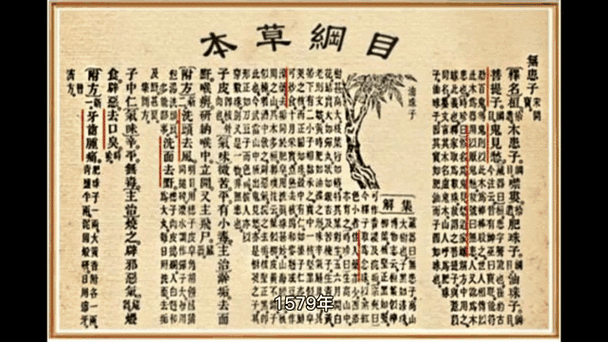 本草纲目历史地位及意义
