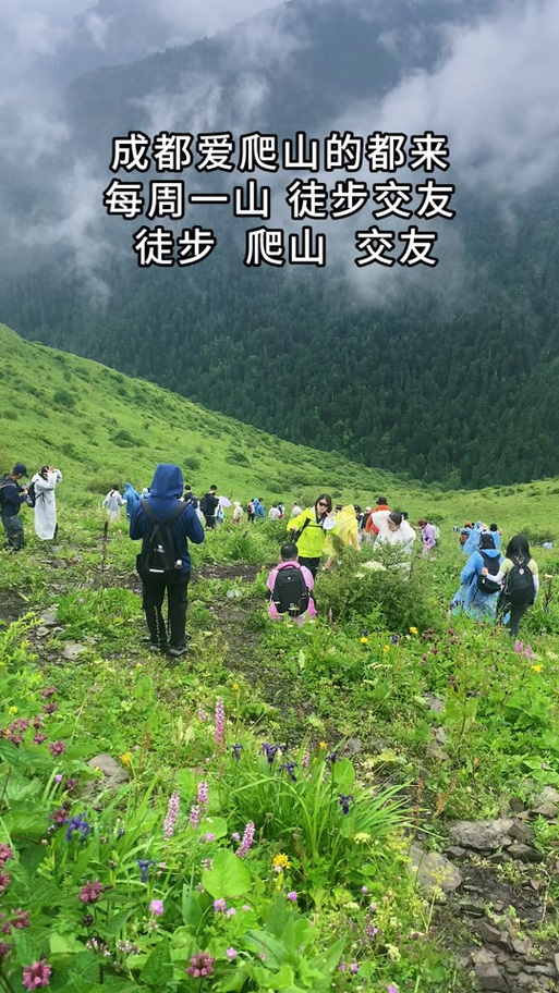 爬山交友app