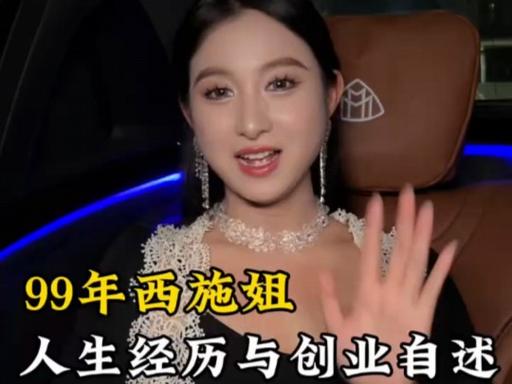 西施的个人简历截图