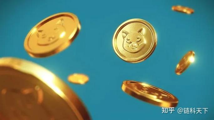 币圈的天下