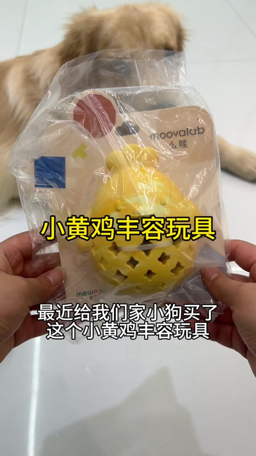 丰容玩具