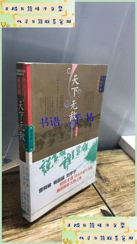 说英雄谁是英雄:天下无敌 小说