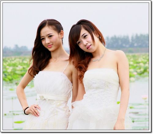 荷花淀的女人们