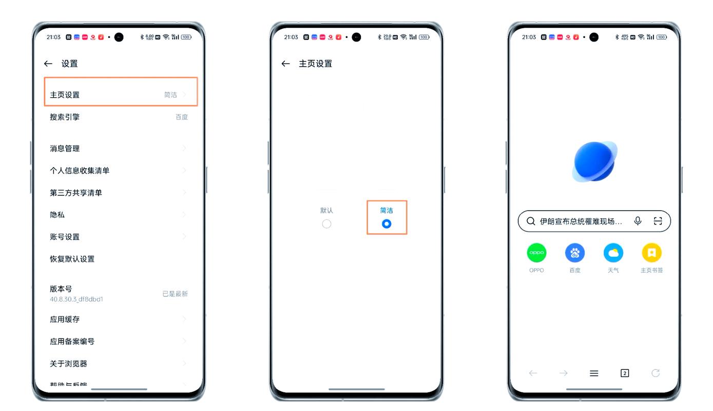 OPPO浏览器简洁模式截图