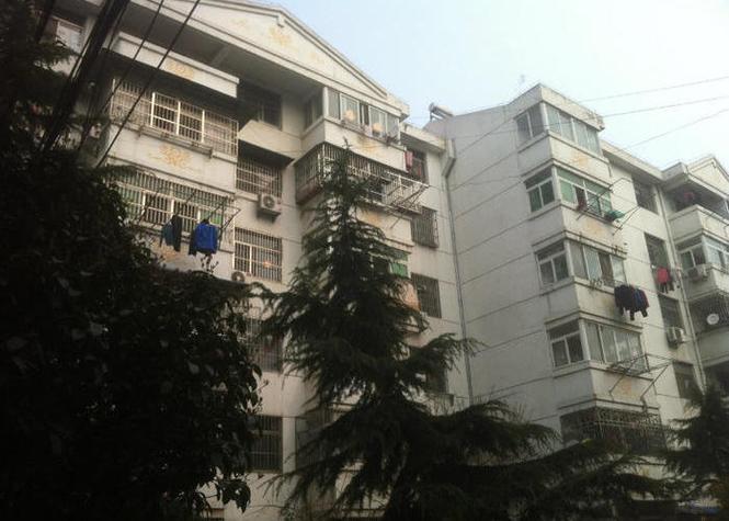 草莓熊长什么样子图片橙色版游戏截图
