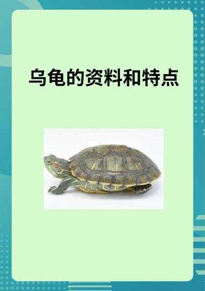 乌龟的作用与功效