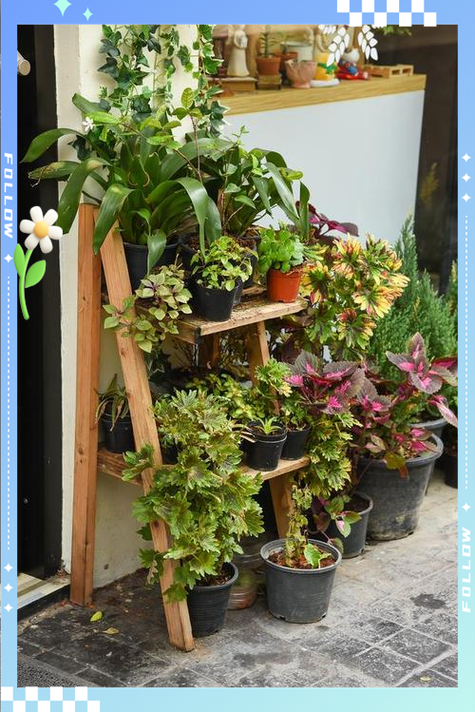 花简空间_逸