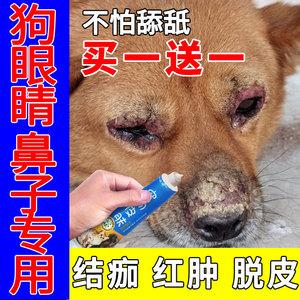 狗身上掉毛皮肤溃烂用什么药截图