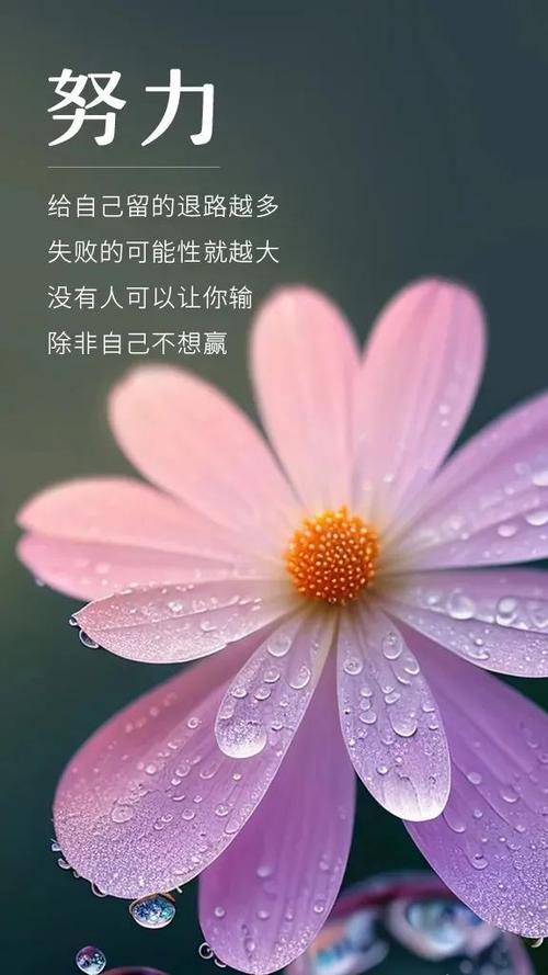 正能量公众号排行榜