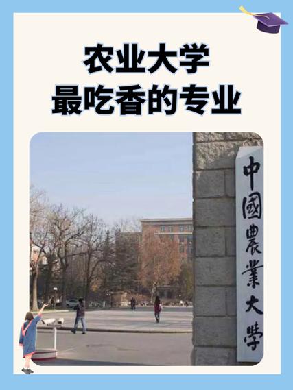 B区那个农大最好