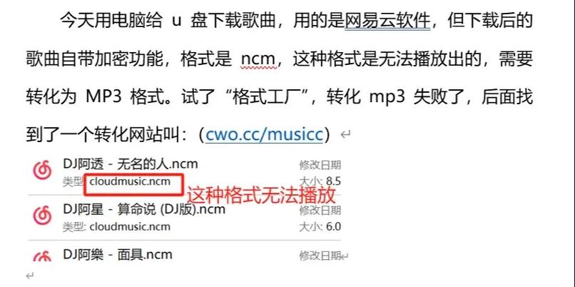 u盘无法播放歌曲的原因