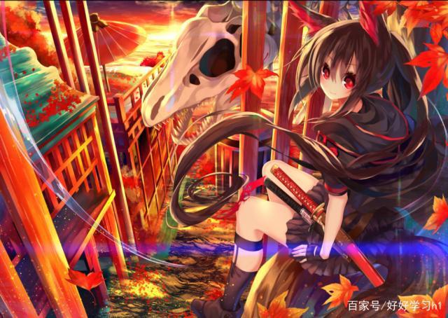 pixiv打不开的解决方法