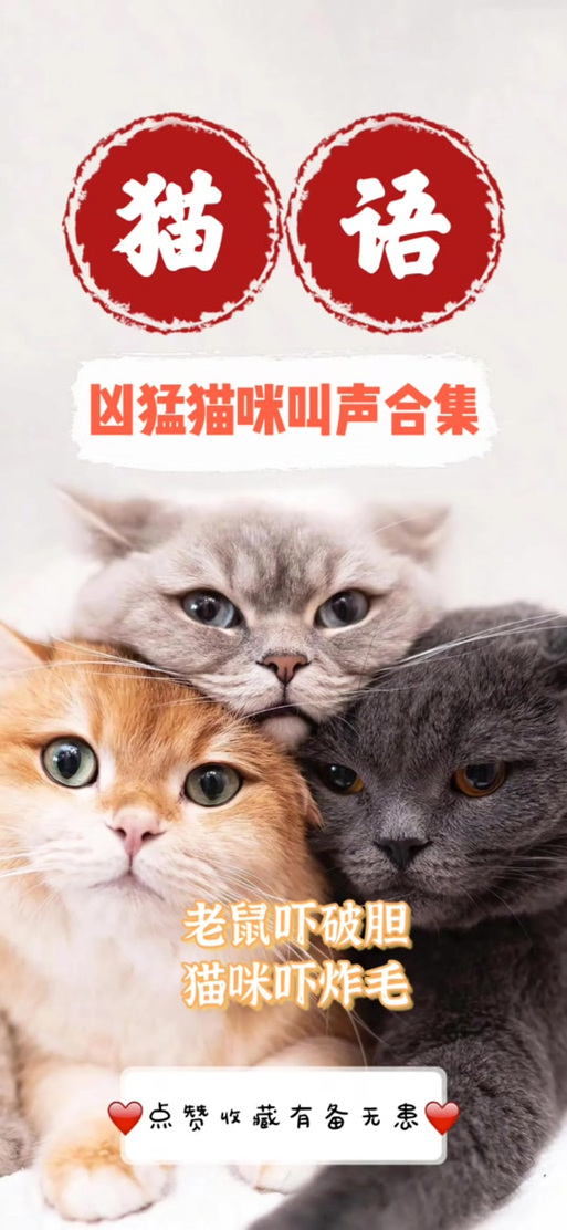 猫叫声吓老鼠专用原声
