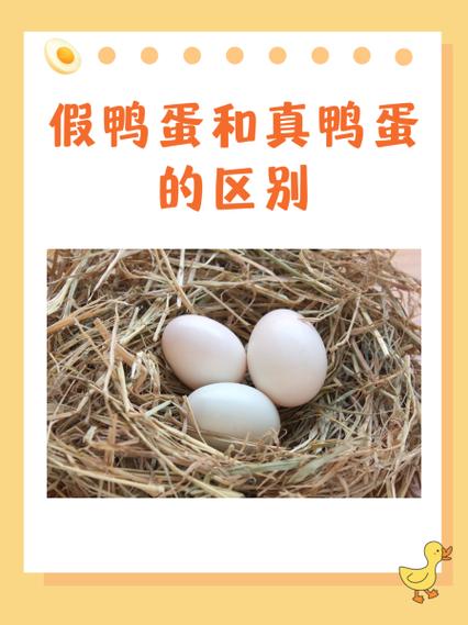 免费领鸭蛋是真的吗截图