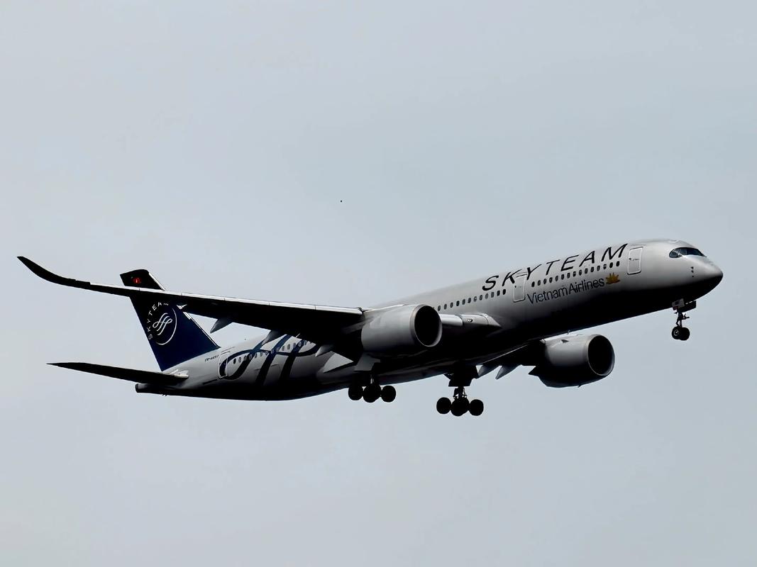 韩亚航空是天合联盟吗图标