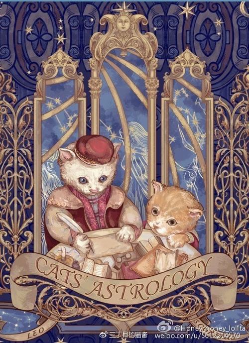 占星猫是哪一家的截图