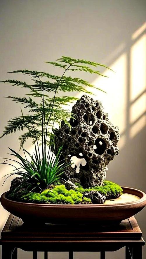 石头盆景放家里什么位置吉利