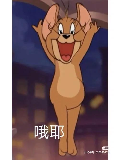 猫和老鼠号被盗了怎么办