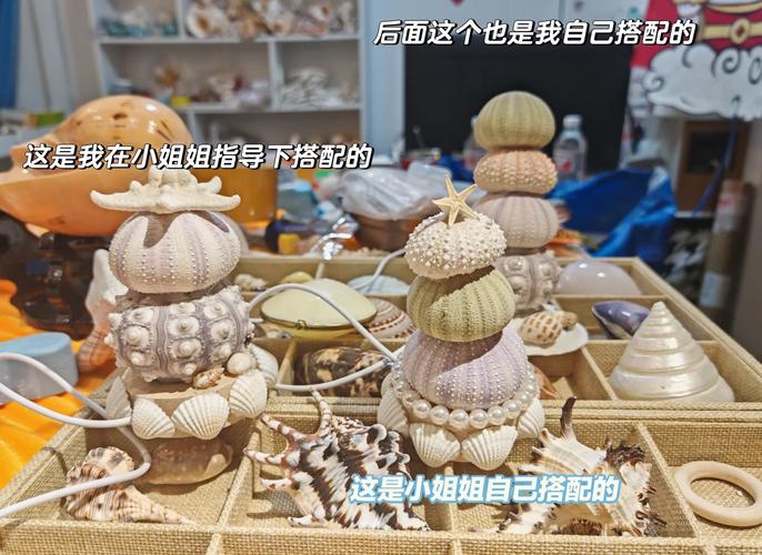 荒岛求生贝壳买什么好图标